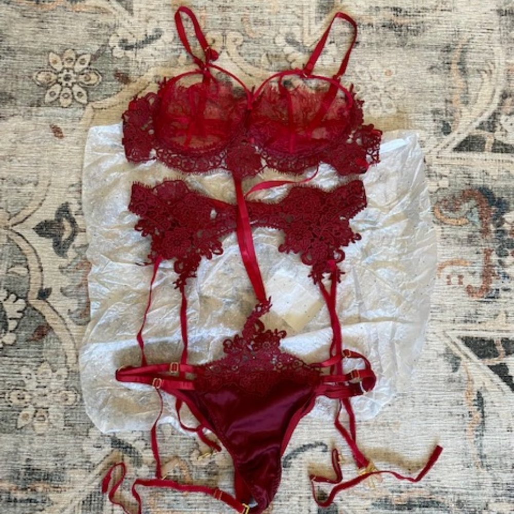 Embroidered Lace Lingerie Set